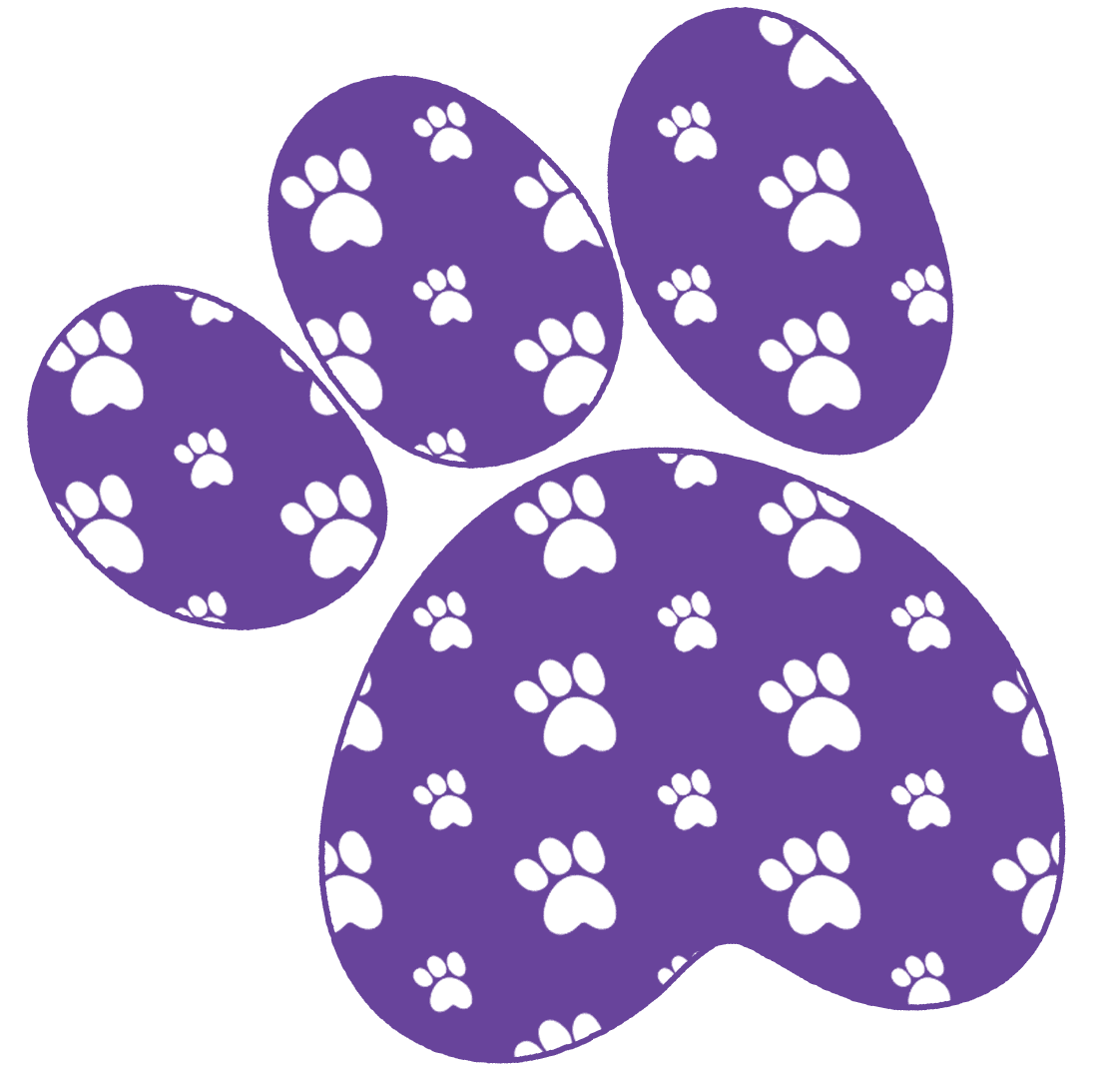 برگزاری همایش بزرگداشت روز حسابداری توسط شرکت فیدار